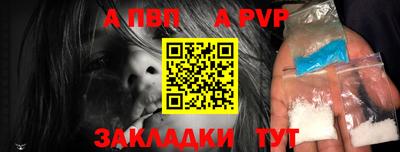 ешки Кингисепп