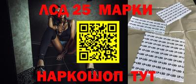 ешки Кингисепп