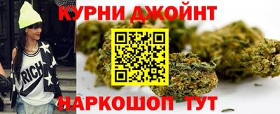 ешки Кингисепп