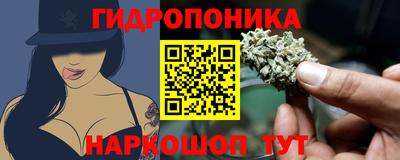 хмурый Кимры