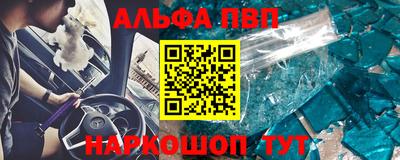 ешки Кингисепп