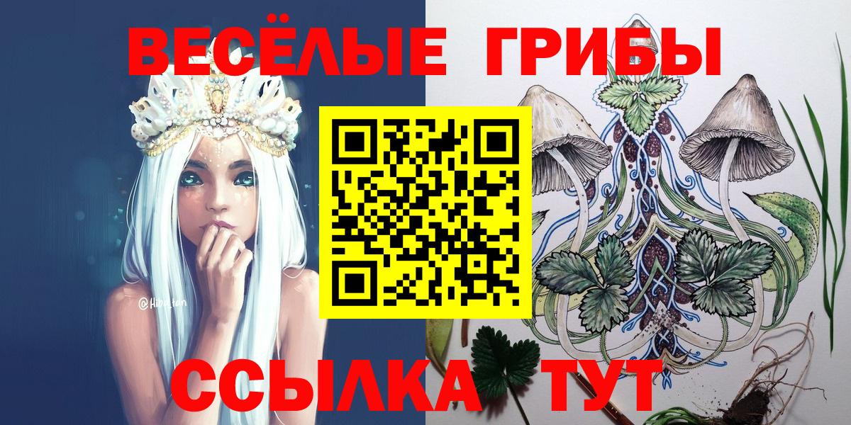 купить наркотик  Псилоцибиновые грибы Psilocybe  Вход с VPN  Черногорск 